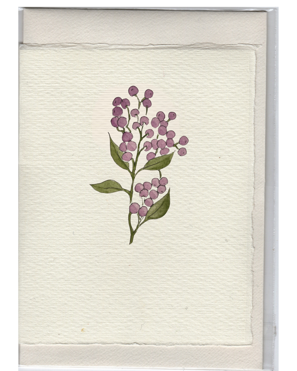 Stationery: Pack of 6 Cards