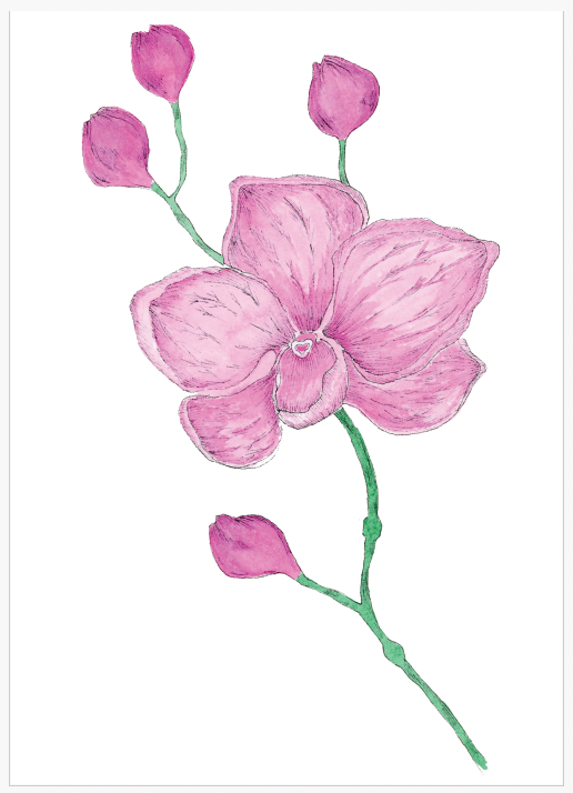 Custom limited edition A5 prints