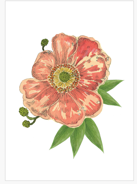 Custom limited edition A5 prints