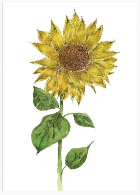 Custom limited edition A5 prints