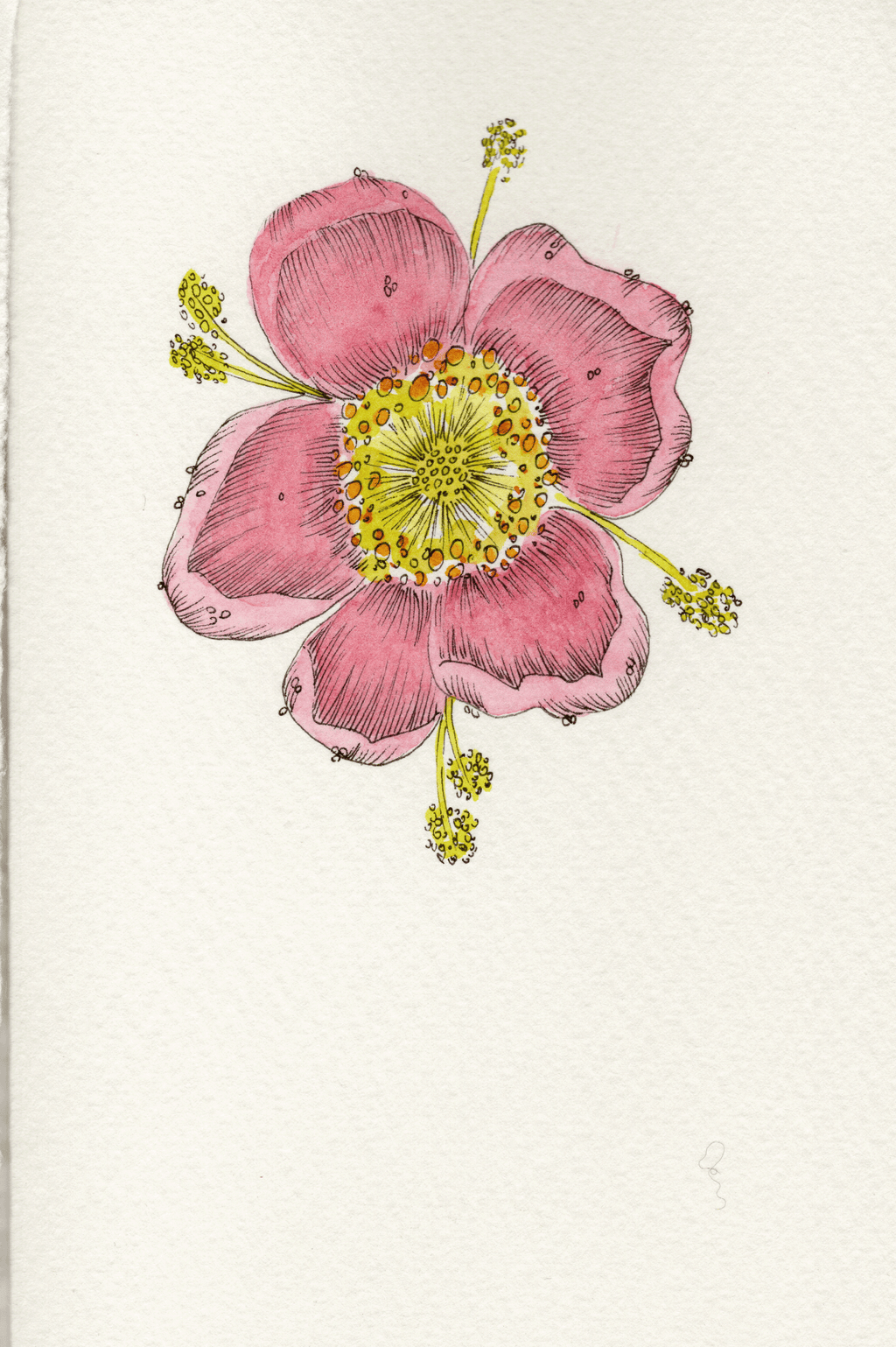 Stationery: Pack of 6 Cards