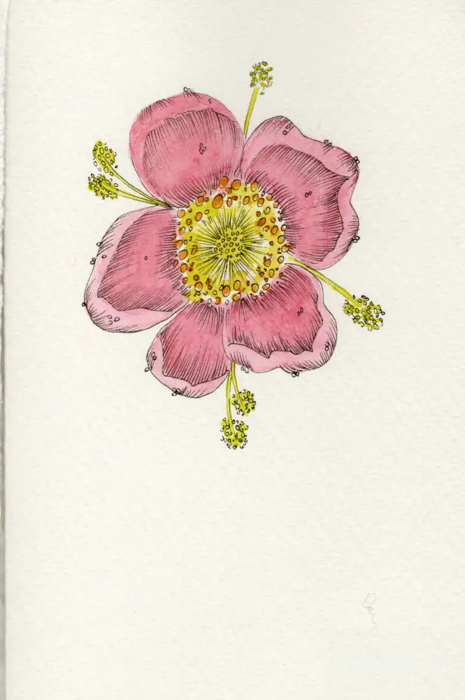 Hand painted Stationery - Floral - Stationery
