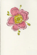 Hand painted Stationery - Floral - Stationery